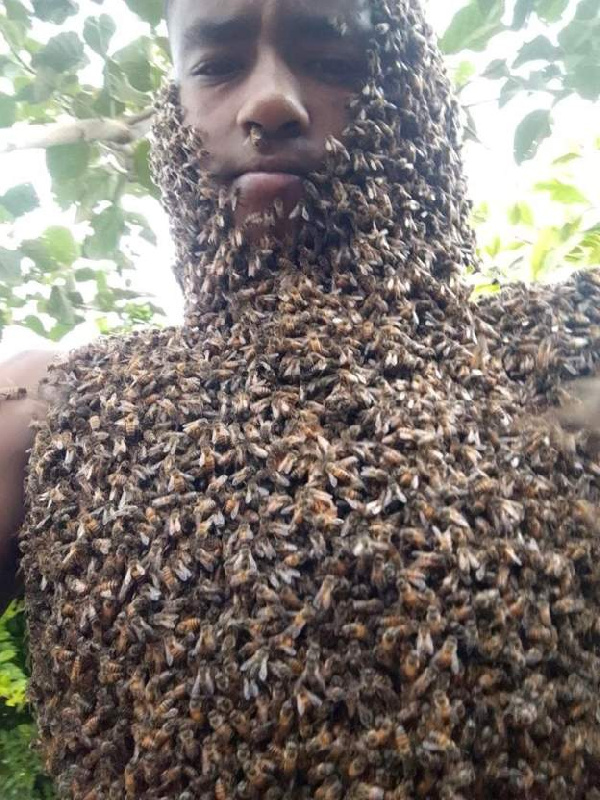 Occasionally, I put them in my mouth. Meet the 18 year-old Ethiopian who can tame bees.