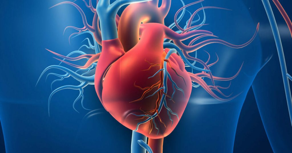 Heart Diseases and Conditions: Understanding Cardiovascular Health